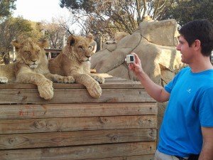 Lion Park South Africa