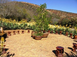 Walter_Sisulu_National_Botanical_Garden-002 (1)