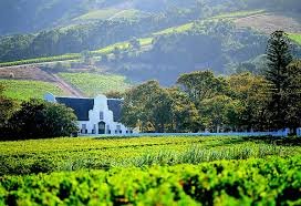 CAPE TOWN- WINELANDS