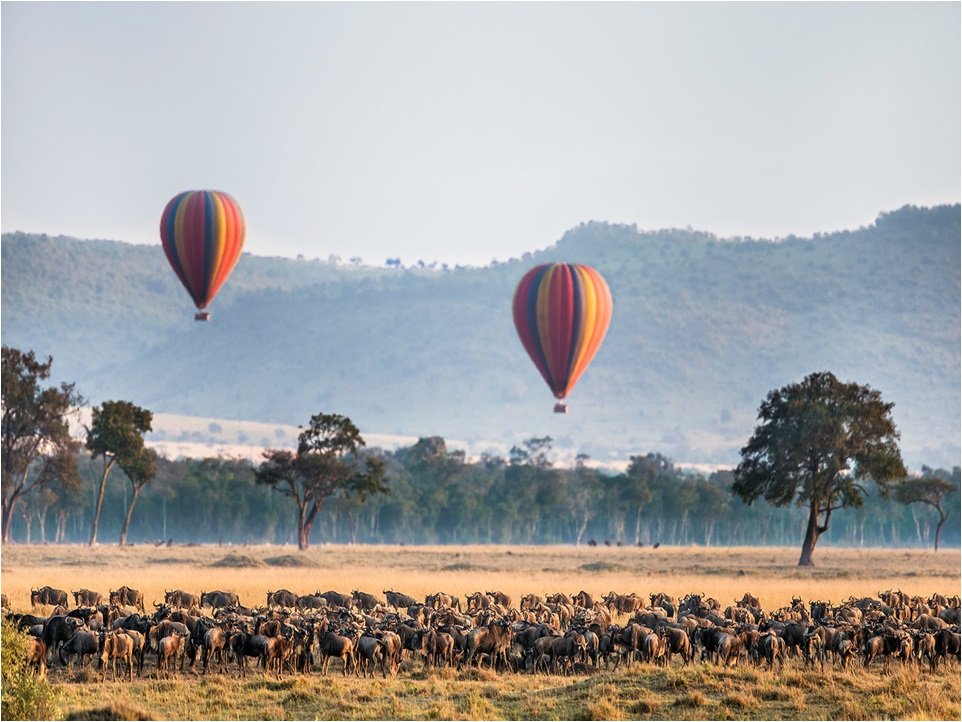 Hot air balloon