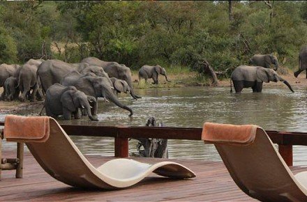 GOMO GOMO GAME LODGE