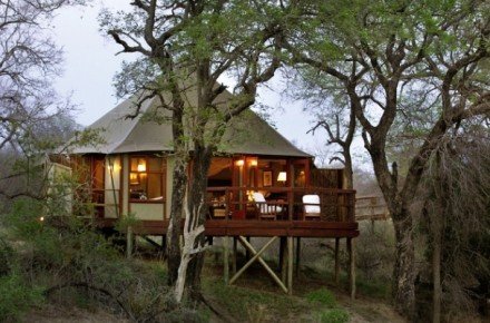 HAMILTONS TENTED CAMP